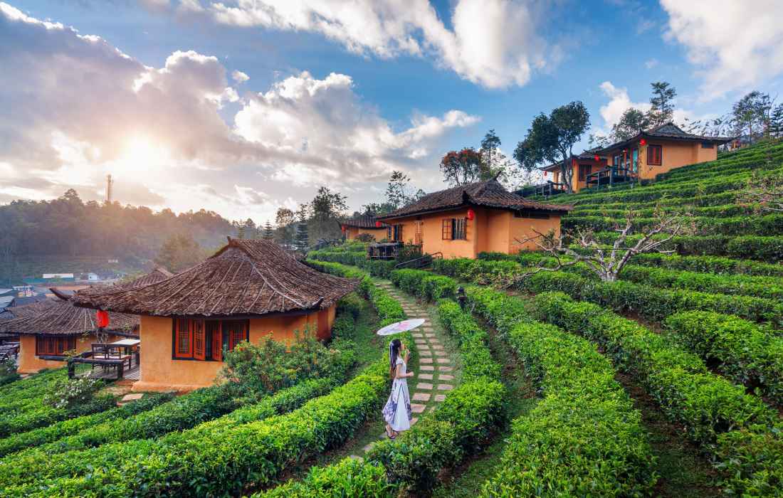 Living Green: Eco-Friendly Tips for Everyday Life